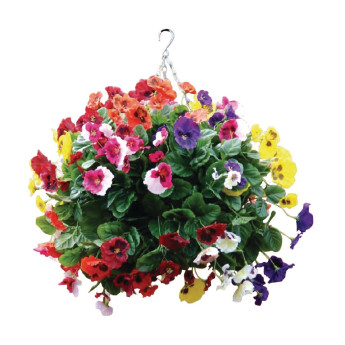 22" Mixed Colours Pansy Ball - Click to Enlarge