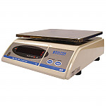 Salter Brecknell Electronic Bench Scales 6kg