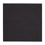 Fiesta Recyclable Lunch Napkin Black 33x33cm 2ply 1/4 Fold (Pack of 2000)