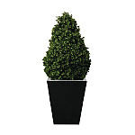 Artificial Topiary Buxus Pyramid 900mm