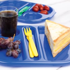 COMPARTMENT FOOD TRAYS