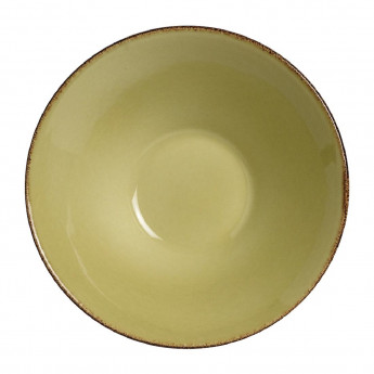 Steelite Terramesa Olive Essence Bowls 202mm (Pack of 24) - Click to Enlarge