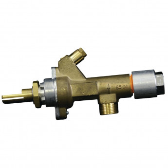 Gas Valve - Click to Enlarge