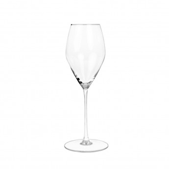 Riedel Performance Champagne Glasses (Pack of 6) - Click to Enlarge