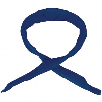 Whites Neckerchief Navy Blue - Click to Enlarge
