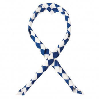 Whites Neckerchief Big Blue and White Check - Click to Enlarge