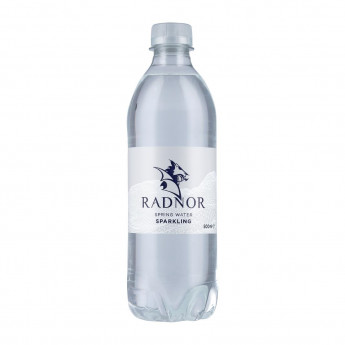 Radnor Hills Sparkling Water 500ml (Pack of 24) - Click to Enlarge