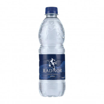Radnor Hills Still Water 500ml (Pack of 24) - Click to Enlarge