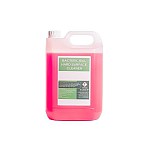 5ltr Bacterial Hard Surface Cleaner