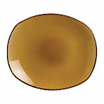 Steelite Terramesa Mustard Spice Plates 255mm (Pack of 24)