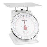 Weighstation Stainless Steel Hanging Kitchen Scale 25kg