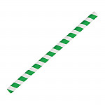 Fiesta Green Compostable Paper Smoothie Straws Green Stripes (Pack of 250)