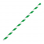 Fiesta Green Individually Wrapped Compostable Paper Straws Black (Pack of 250)